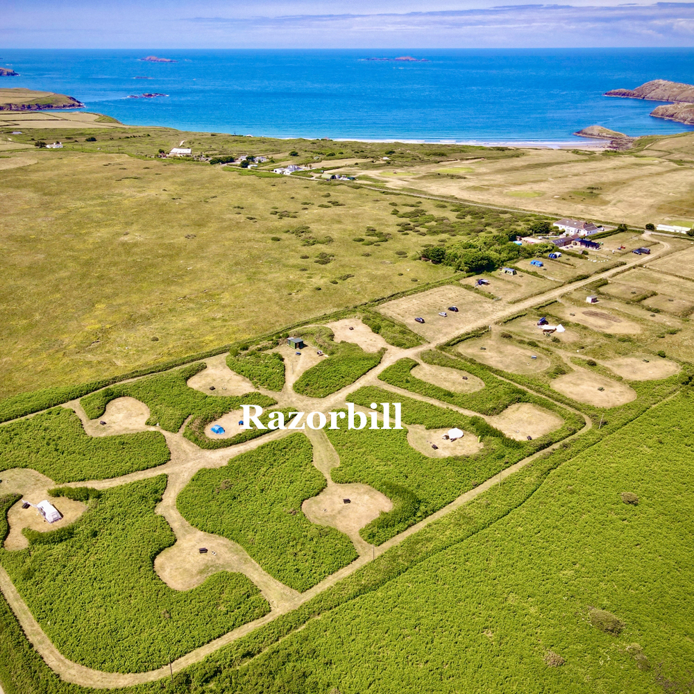 Stacks Image 82