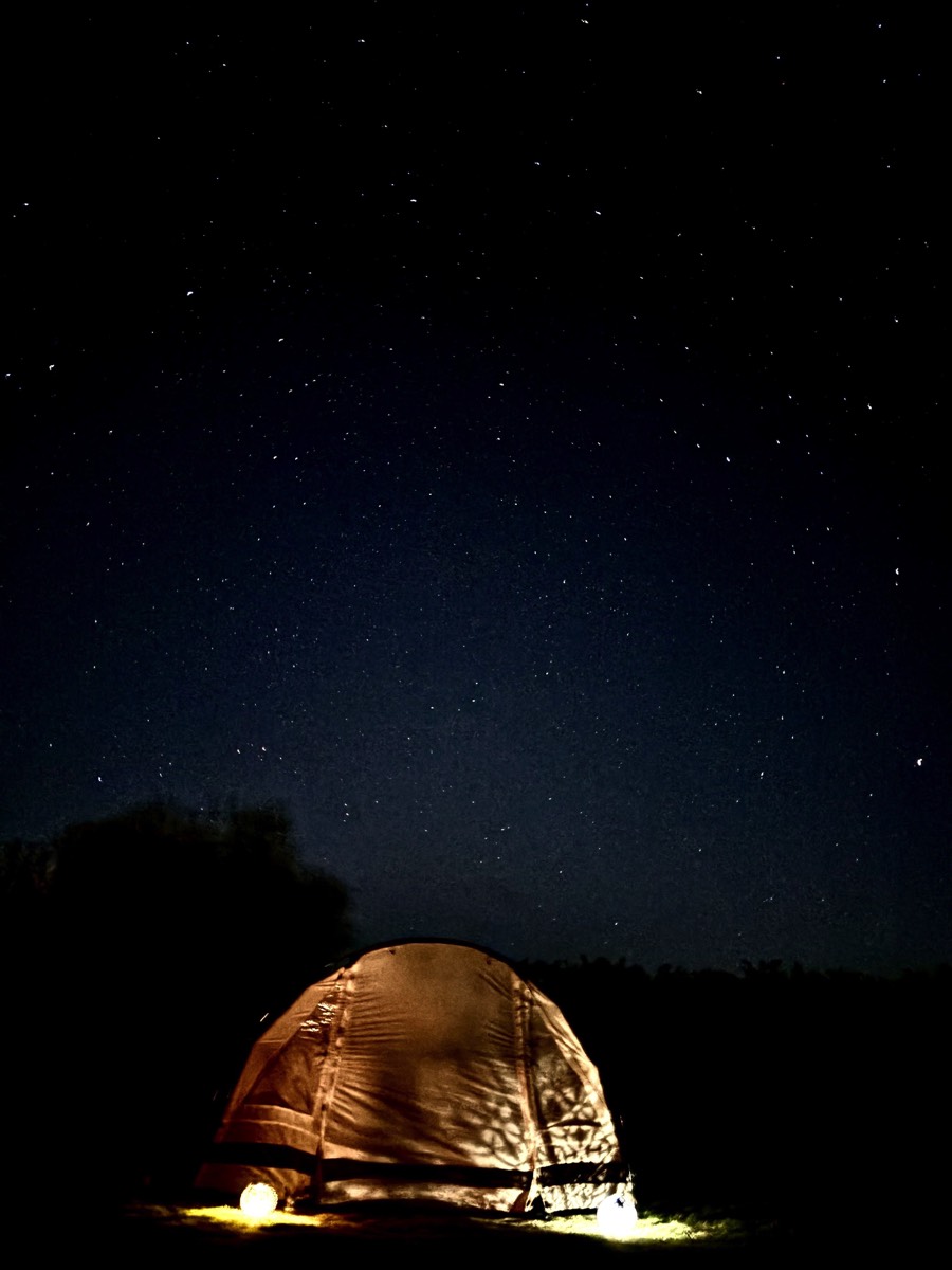 Stacks Image 148